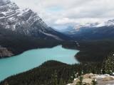 Lake Peyto aan de Icefield Parkway