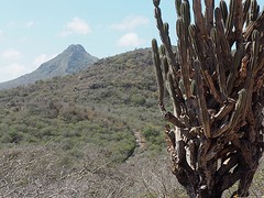 Uitzicht op de Christoffelberg