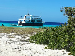 de Mermaid op Klein Curaçao
