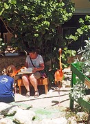 voeren van de flamingo's in het Sea Aquarium