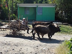 Ossenkar