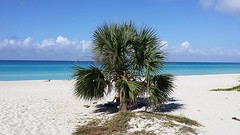 strand van Varadero
