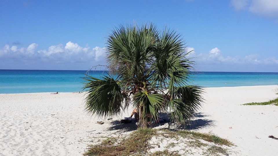 strand van Varadero