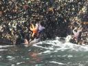 PICT1270