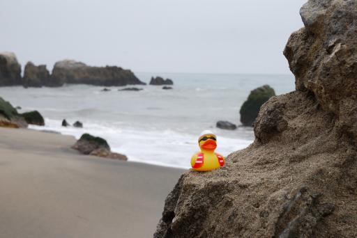 Leo Carillo State Park