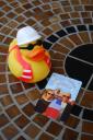 Duck de bouwer bij Hotel California