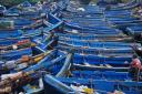 Haven van Essaouira