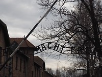 Arbeit macht frei