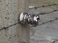 Auschwitz