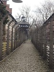 Auschwitz