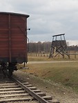 Birkenau