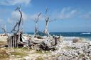 Bonaire