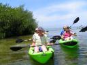Kajak in the mangroves