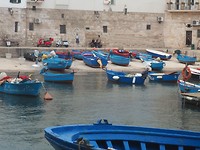 Monopoli