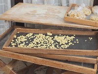 drogen van de pasta