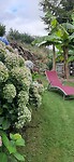 Achtertuin