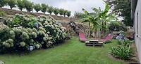 Achtertuin met bananen en hortensia's