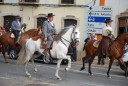 mooie Spaanse volbloedpaarden