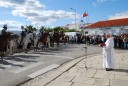 de pastoor spreekt de paarden toe