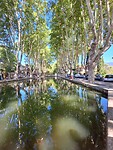 L' etang