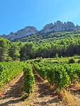 Les Dentelles