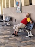 Siesta