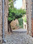 Minerve