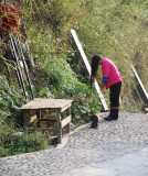 haren wassen: de kat geniet mee