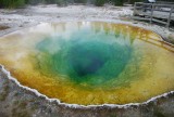 Morning Glory Pool, Yellowstone