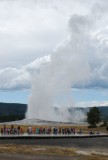 Old Faithful geyser in Yellowstone