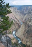 Grand Canyon of Yellowstone