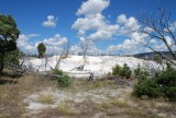 Mammoth springs