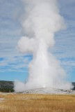 Old Faithful 's morgens