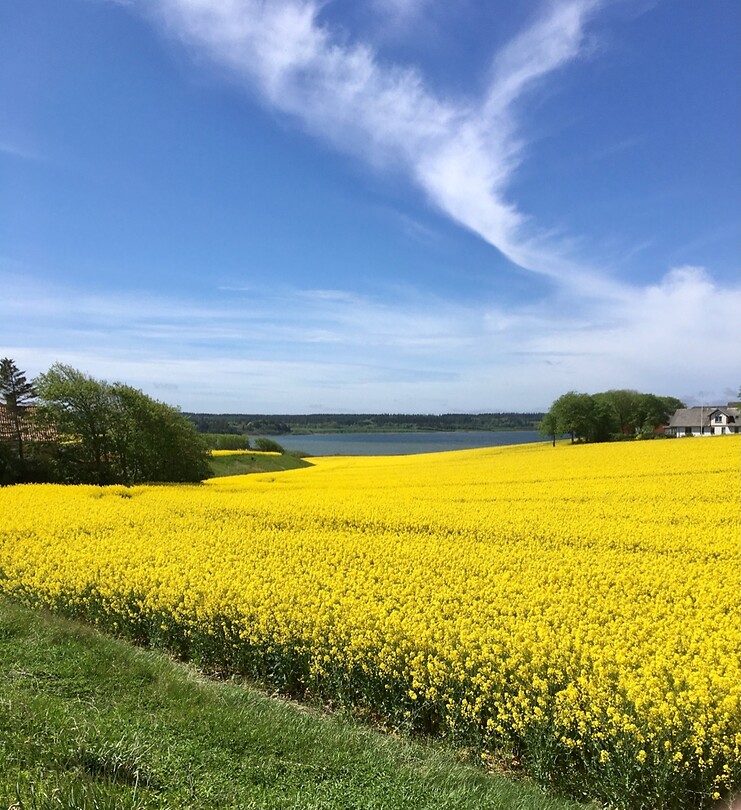 D3768A06-3DDE-4BFA-BB3A-3F964B7264DB