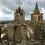 IMG_3884