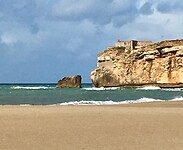 IMG_3903