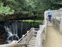 IMG_7258