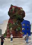 IMG_7342