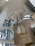 IMG_7343