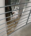 IMG_7362