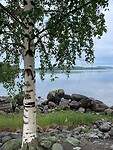 a2942080-b045-4b01-aa10-b61488b74358