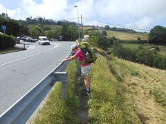 Railinggirl