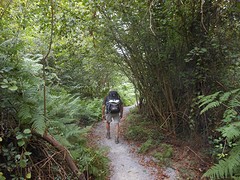 Mooie natuur!