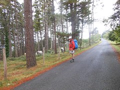 Onderweg