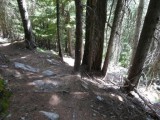 Hermit trail