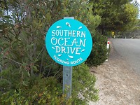 DSCN4748