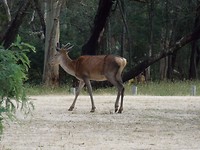 DSCN4817
