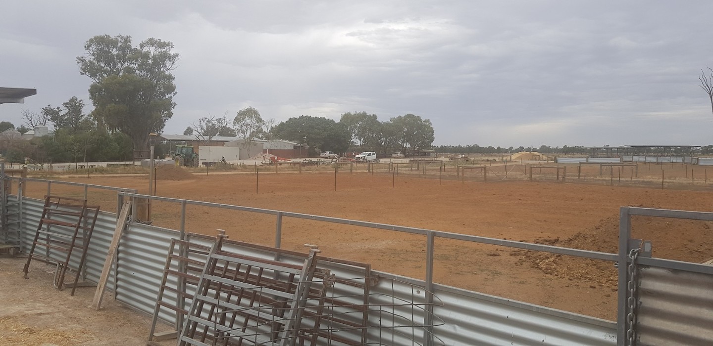 The farm