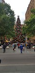 Kerst in sydney