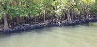 Op de rivier